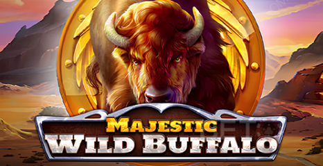 majestic Wild Buffalo